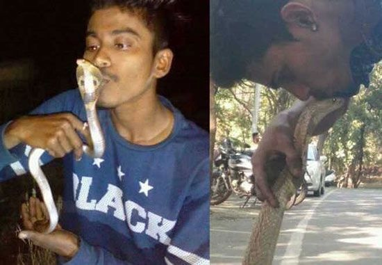 印度小伙抱眼镜蛇“亲嘴”自拍：被咬中毒身亡