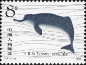 白鱀豚